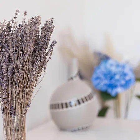 Couronne De Josephine - 10 Mn A Pied Du Palais Et Plages, Charme Et Authenticite *